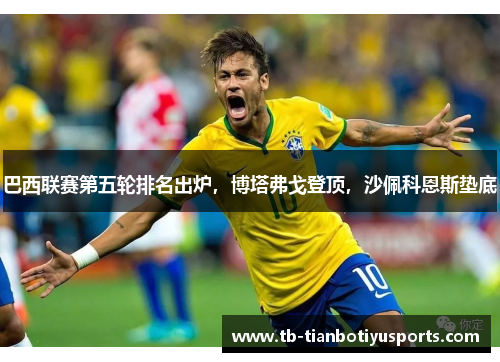 巴西联赛第五轮排名出炉，博塔弗戈登顶，沙佩科恩斯垫底
